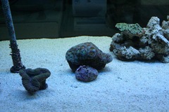 Killikus&reg; Fotographie